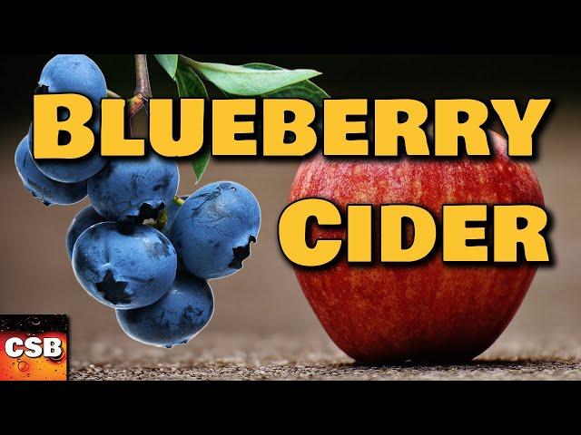 Our BEST Blueberry Cider Recipe! (super easy too)