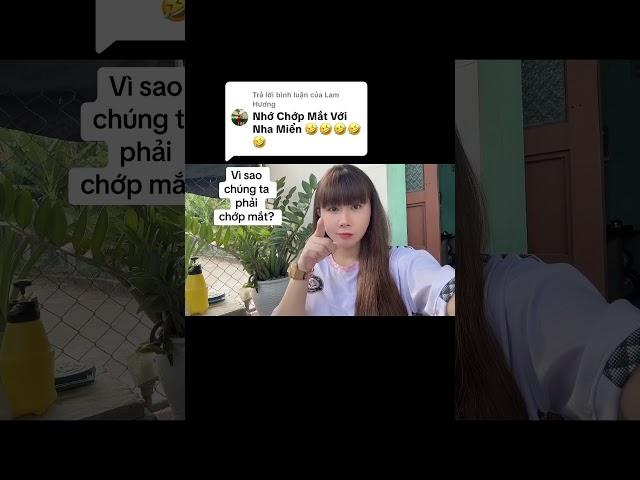 vì sao chúng ta phải chớp mắt? #lethimien