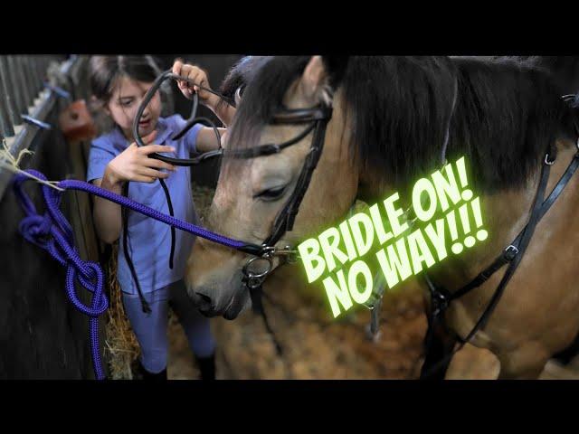 BRIDLE BLOOPERS: NATALIA VS. LOUIS IN THE GREAT PONY GEAR-UP SHOWDOWN