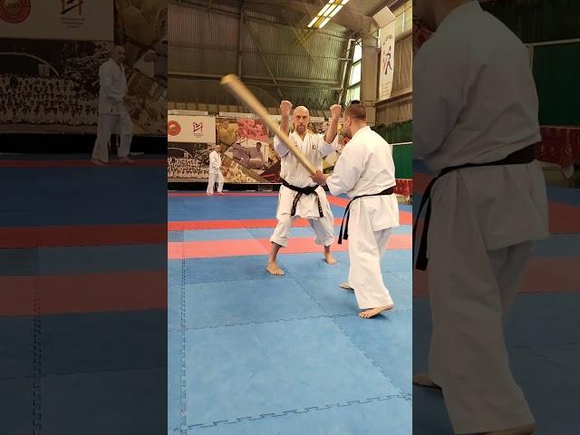 Tameshiwari wood stick / Nikolay Korovin Sensei demonstration of the Okinawan karate power