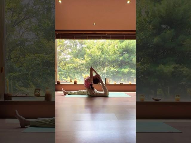 요가 플로우 맞아요.. Eka Pada Rajakapotasana 4  #yoga #요가 #요가강사 #요가요정 #후굴여신