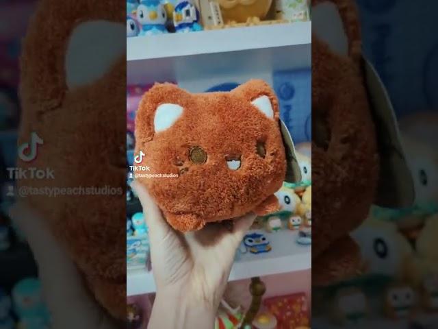 Such a FLUFFY Meowchi!? #Shorts