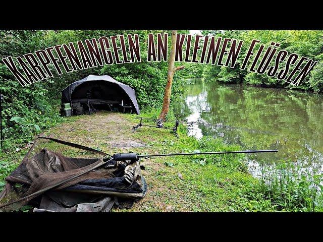 Karpfenangeln an kleinen Flüssen