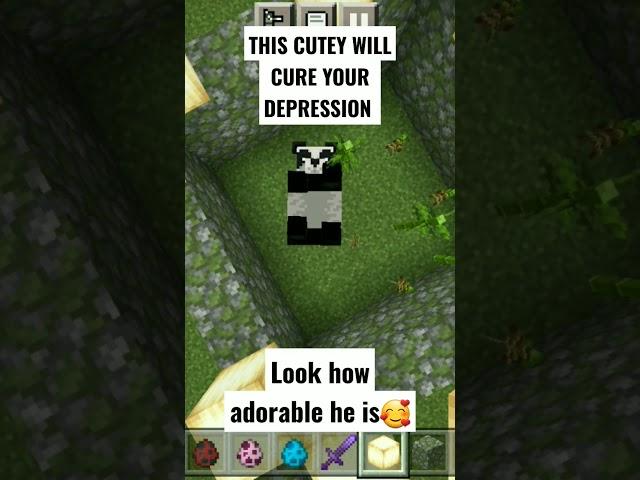 THIS MINECRAFT PANDA WILL CURE YOUR DEPRESSION  #shorts