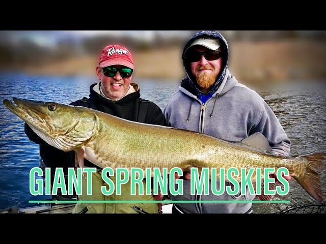 FISHING FOR SPRING GIANTS