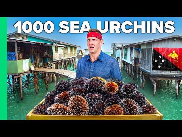 Cooking 1000 Sea Urchins!! Papua’s Ocean Tribe!!