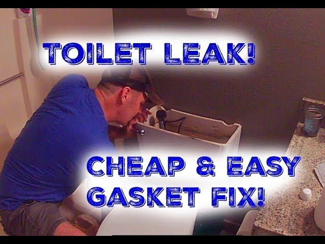 Easy Cheap Toilet Leak Fix!