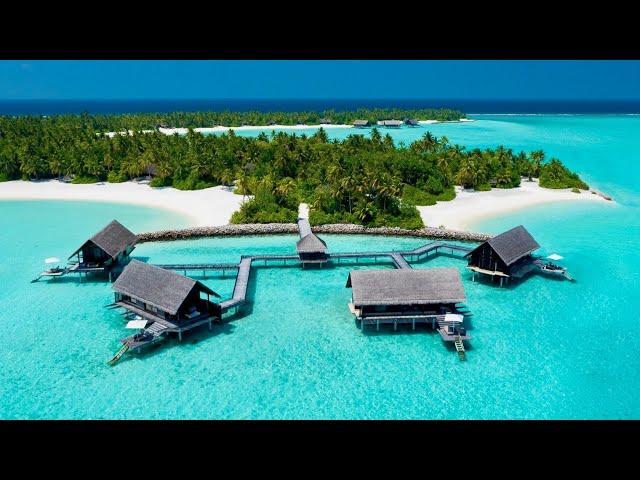 One&Only Maldives | Phenomenal ultra-luxury resort (full tour in 4K)