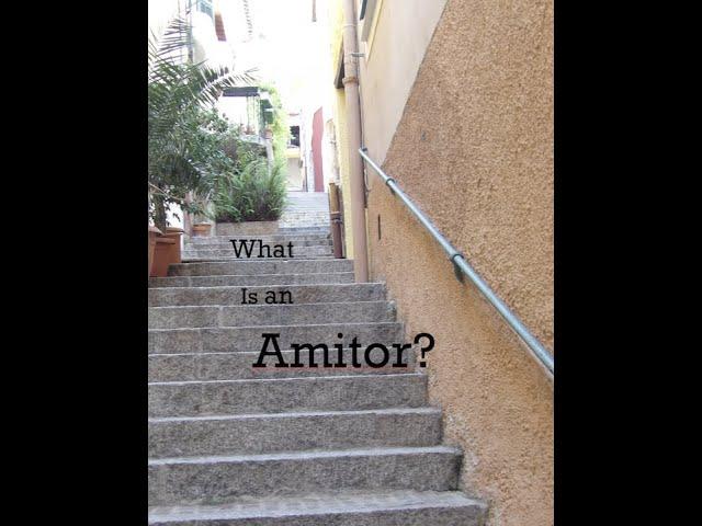 What 's an  Amitor?