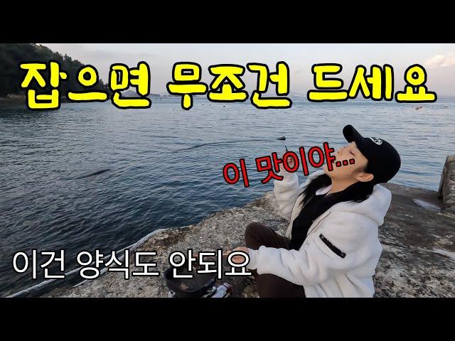크고 맛있는 녀석들이 종류별로 나오는 방파제 무료 낚시터! 잡자마자 바로 먹으세요!