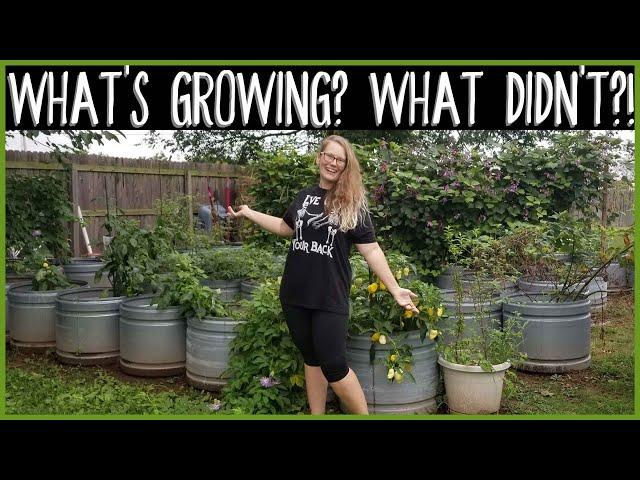 Oklahoma Gardening: What Grew, What I WON'T Grow Again | September 2020