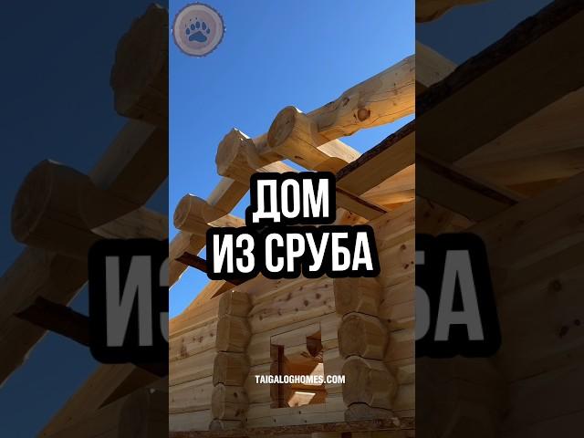 Сибирский кедр: идеальный материал для строительства дома 🪵