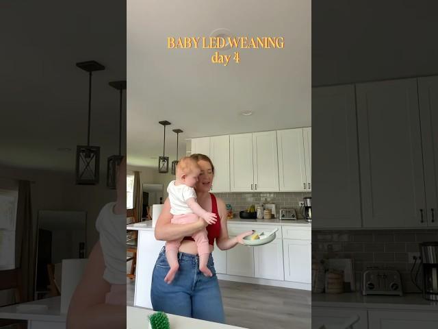 Baby led weaning, day 4! #blw #babyledweaning #startingblw #blwmeals