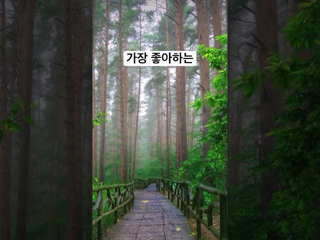 빗소리️ #잘자요 #굿밤 #잠들기전 #빗소리asmr