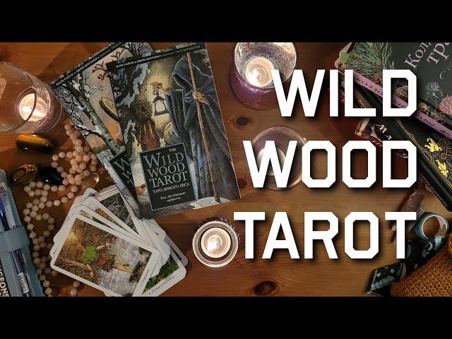 Обзор колоды Таро Дикого Леса (Wild Wood Tarot)