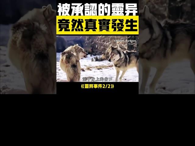  真有靈異2！這些離奇事件被官方證實存在 #靈異事件 #真人真事 #未解之謎