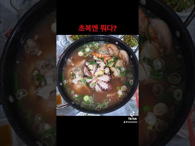 이곳에 몰리는이유 #혼수상태tv #해신탕 #맛집