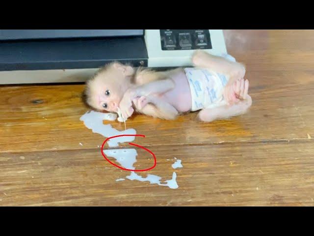 Holy Bless!! Baby DORN Jump Throwing His Tantrum Until Drain Milk On Table