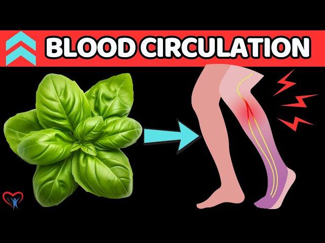 Discover 7 Super Herbs to Enhance Blood Circulation in Your Legs!