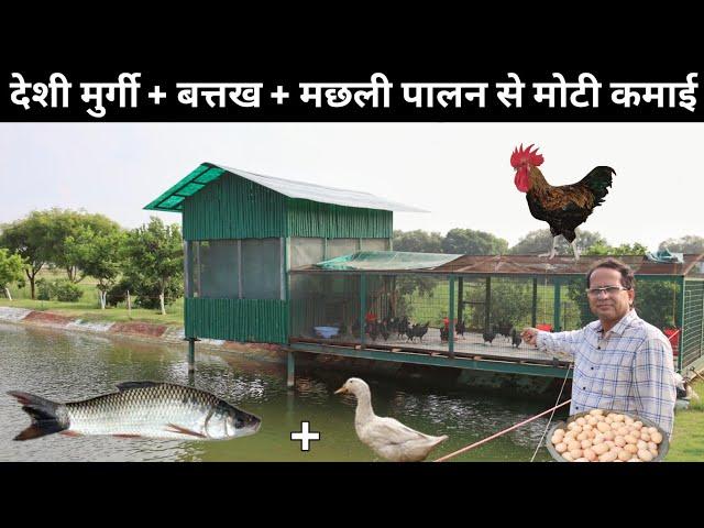 ऐसा अनोखा फॉर्म आपने देखा नहीं होगा | Desi Poultry Farming + Fish Farming + Duck Farming