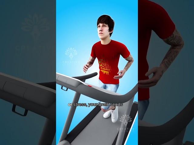 Why Do We Sweat  #shorts #viralvideo - creativelearning3d