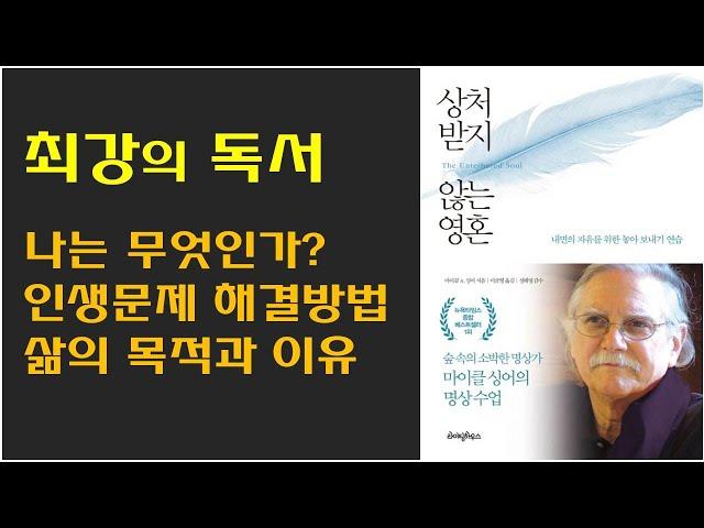 [상처받지 않는 영혼 / 마이클 싱어] 깨달음에 관한 책 중 가장 쉽고 가장 정확한 책 / 삶의 목적과 이유 / 인생문제 해결방법 등