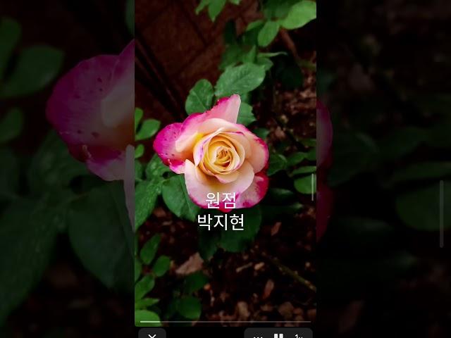 #박지현 #원점