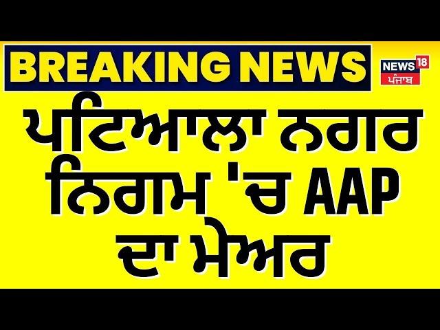 Breaking News | ਪਟਿਆਲਾ ਨਗਰ ਨਿਗਮ 'ਚ AAP ਦਾ ਮੇਅਰ | Patiala Municipal Election Result | News18 Punjab