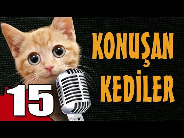 Konuşan Kediler 15 - En Komik Kedi Videoları