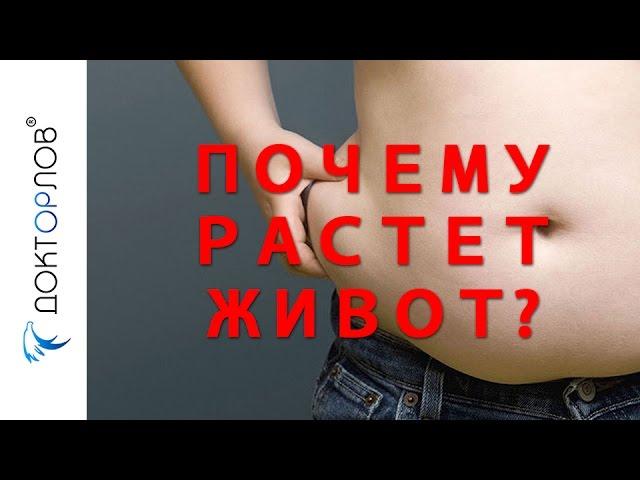 ПОЧЕМУ РАСТЕТ ЖИВОТ?