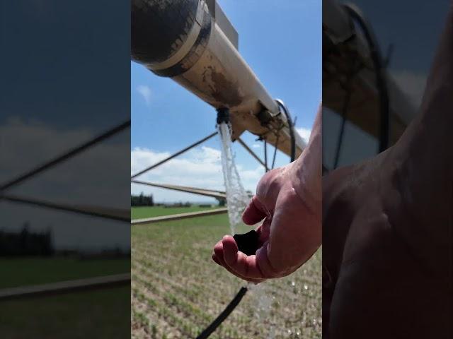 Replacing a Centerpivot Drain   4K #centerpivot #irrigation #maintenance #farming