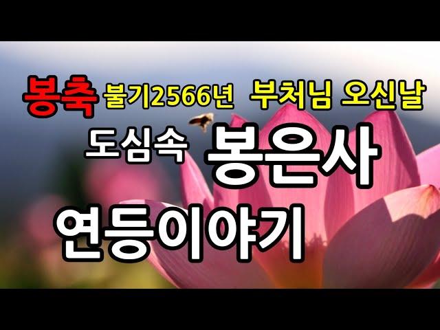 불기2566년도심속 천년고찰 봉은사 가족과 함께가기좋은 곳