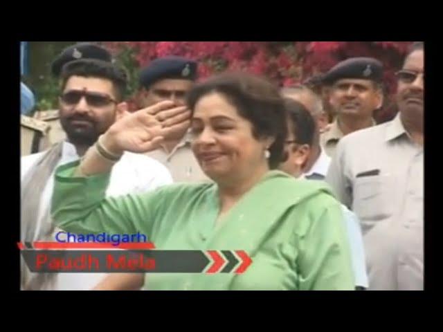 Plantation Fair Organized In Chandigarh / Van Mahotsav In Chandigarh / Paudh Mela In Chandigarh