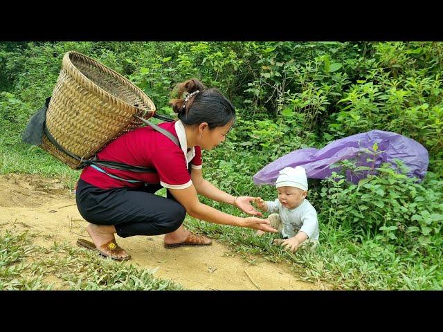 Harvesting bananas for sale - On the way home - accidentally met a baby abandoned by his mother