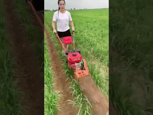 Ditching and cultivating machine, a good helper for farmers