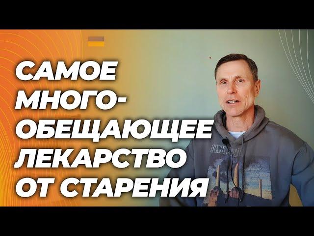 Наконец-то: результаты самого крупного исследования рапамицина- лекарства от старости