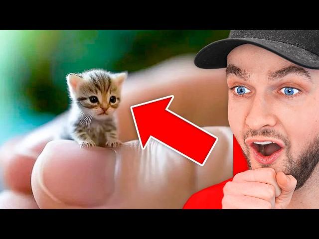 World’s *HARDEST* Try Not To Say AWW Challenge!