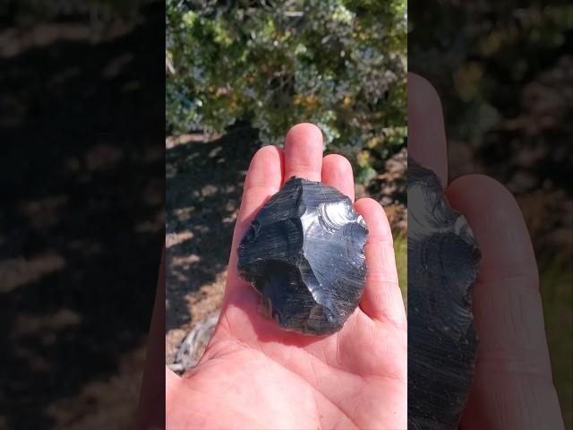 Searching For Prehistoric Hunting Camps/Tools In The High Desert - Huge Obsidian Scraper