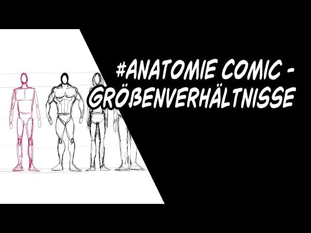 #Anatomie Comic - Größenverhältnisse