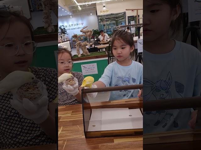 #앵무새
