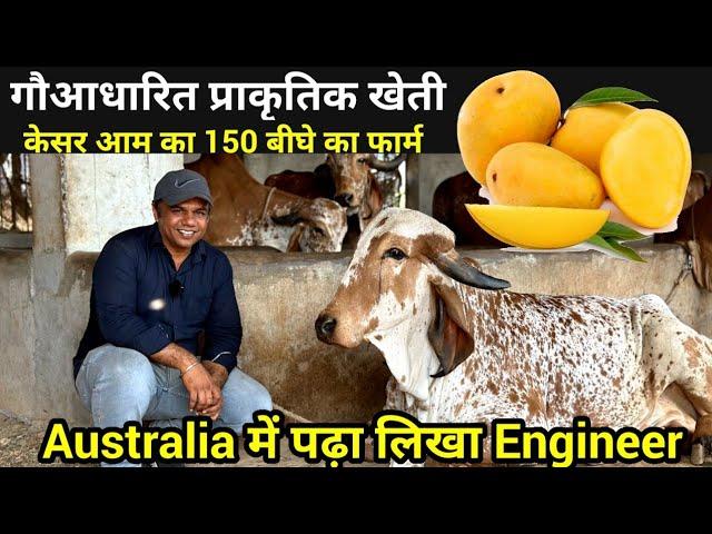 Cow Based Organic Farming Kesar Mango 150 Bigha Farm Full Detail  Gir Somnath