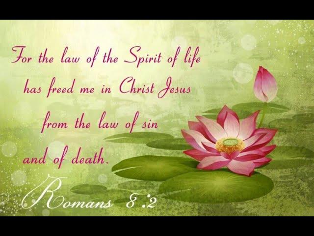 Romans 8:2 Law of sin and death and spirit of life explained refuting Hebrew Roots lies