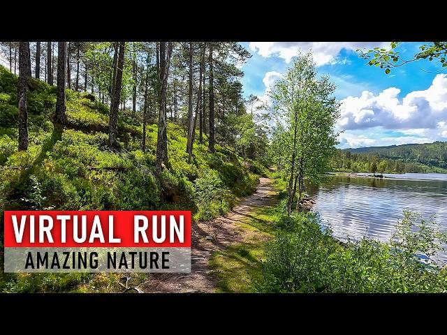 Trailrunners Paradise | 60 min Virtual Run in Stunning Nature Scenery | Treadmill