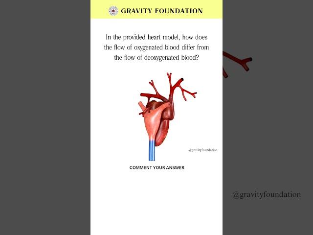 Can you answer this? #heart #anotomy #humananatomy  #science #neet #heart #fyp #biology #zoology