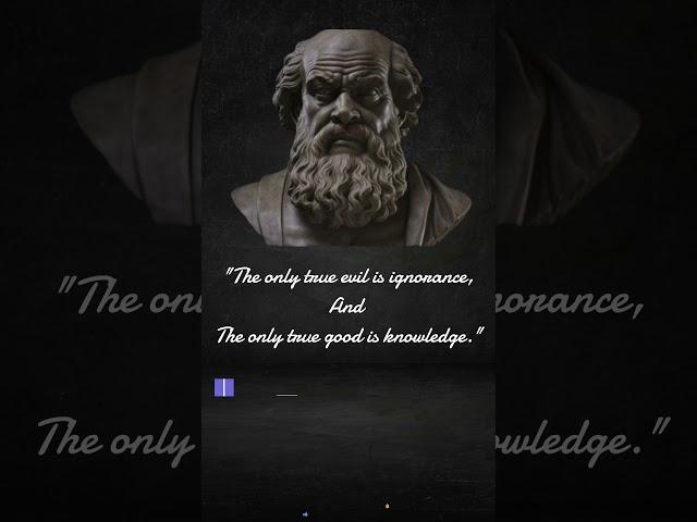 Illuminate Your Mind: The Power of Knowledge Unleashed!  #philosophy #stoicism