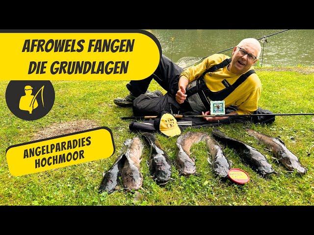 Afrowels fangen - die Grundlagen