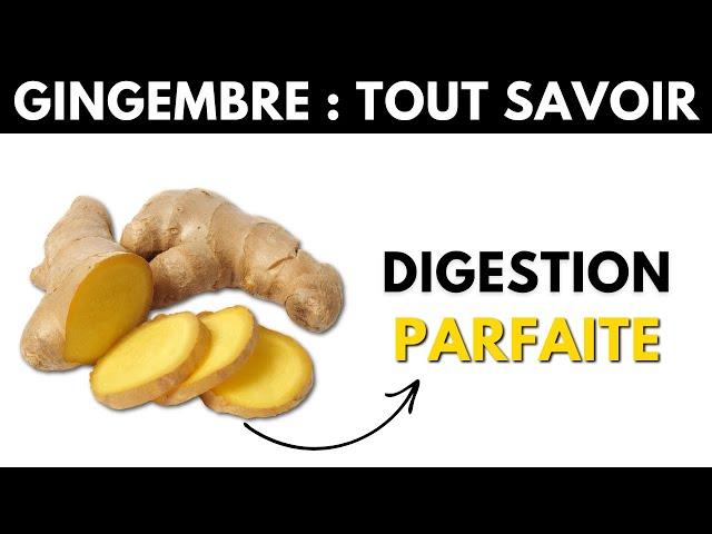 Gingembre : ses dangers et bienfaits pour la santé - Dr Santé