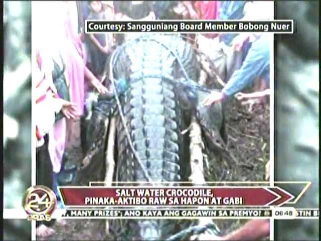 Giant Crocodile captured alive in the Philippines