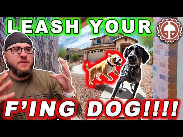 Confronting My Neighbor About His Aggressive Dog