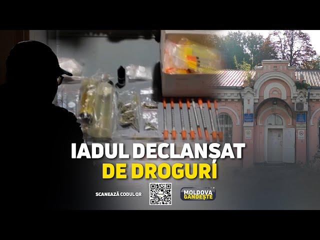 Moldova Gândește: Piața neagră a drogurilor: cocaina urcă-n top/ Istorii cu drogați/ 02.11.2024